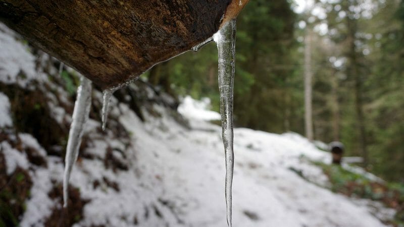 Borjomi National Park