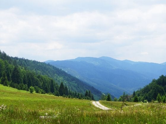 Tara National Park hiking trails