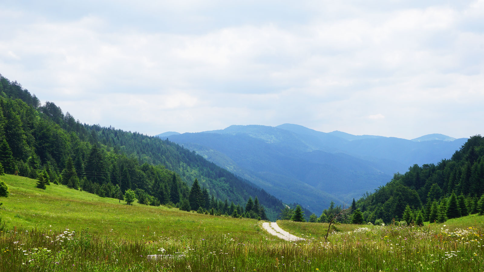 Tara National Park hiking trails