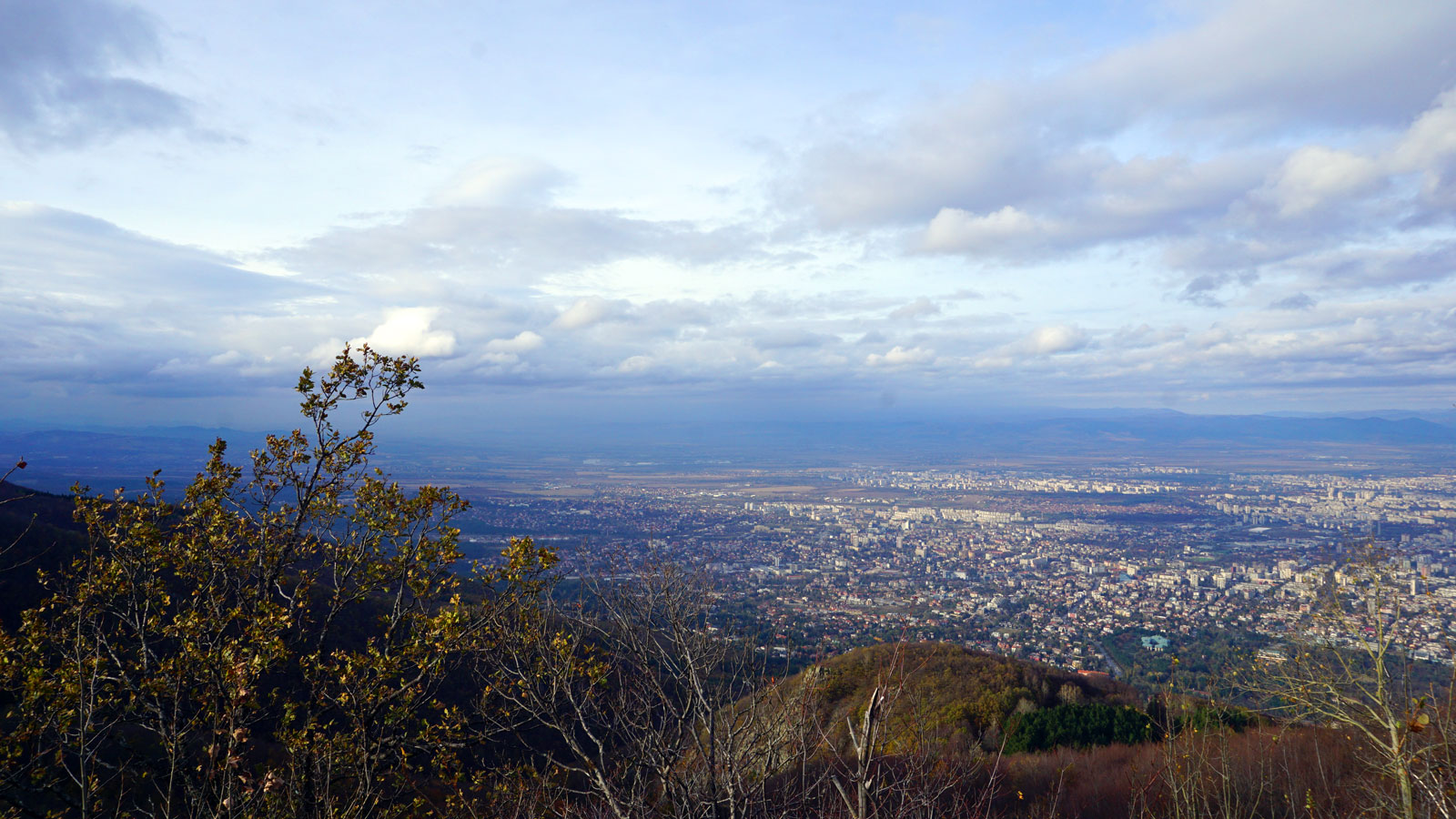 Bus to Vitosha