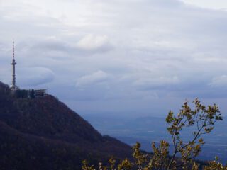 Hiking Vitosha